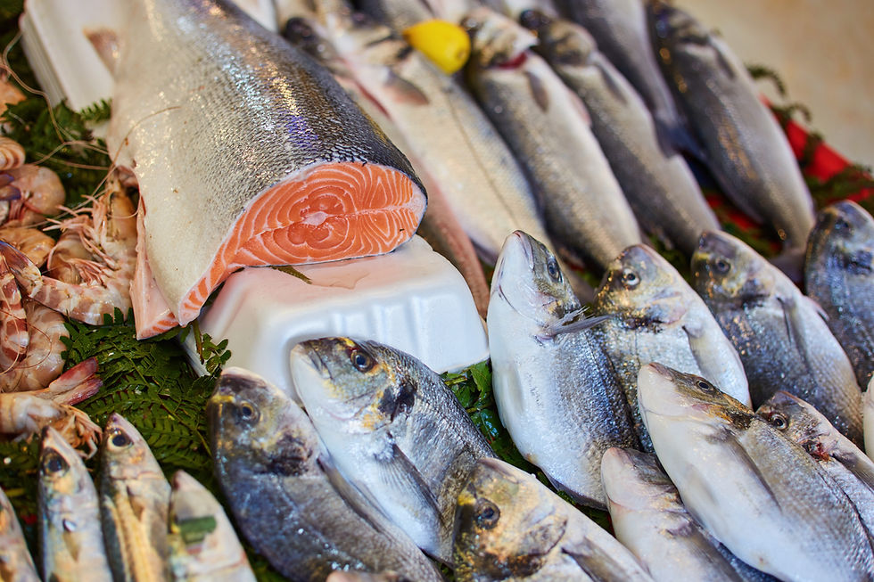 Rows of salmon fish displayed on a fish store counter.